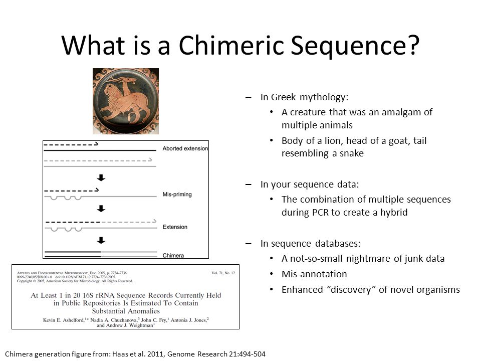 Chemirec sequence