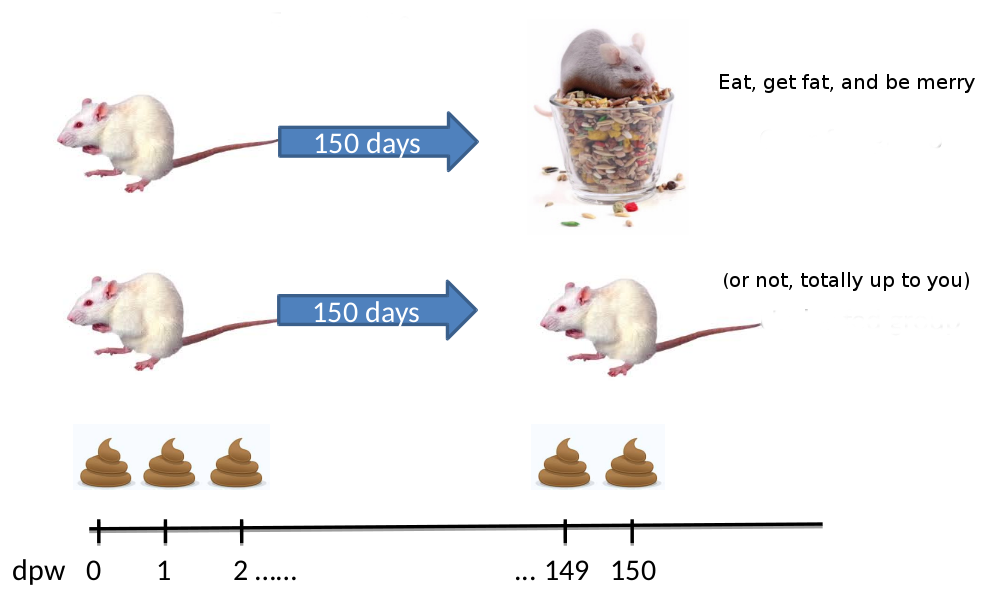 Experiment setup